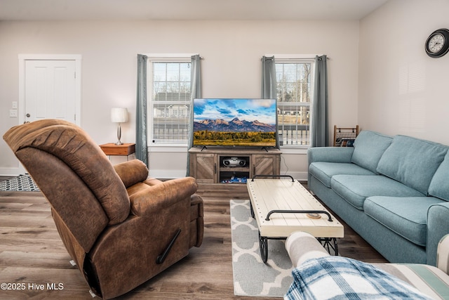 living room with hardwood / wood-style floors