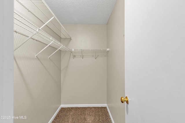 walk in closet with carpet