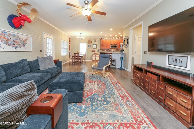 living room featuring ceiling fan with notable chandelier, ornamental molding, and light wood-type flooring