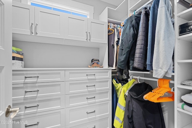 view of walk in closet