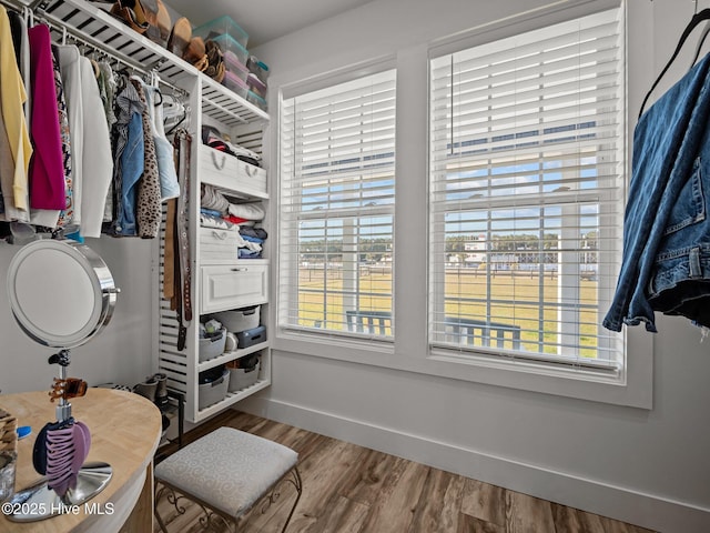 walk in closet with hardwood / wood-style floors