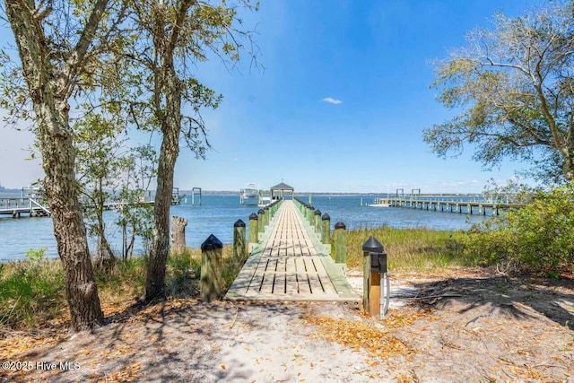 dock area featuring a water view