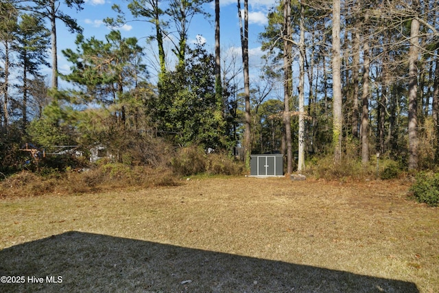 view of yard featuring a storage shed