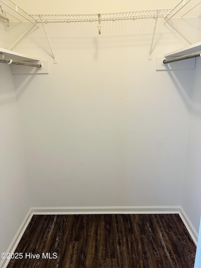 spacious closet featuring hardwood / wood-style floors