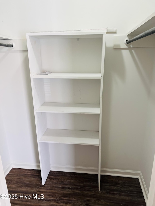 spacious closet featuring dark wood-type flooring