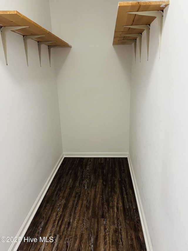 spacious closet featuring wood-type flooring