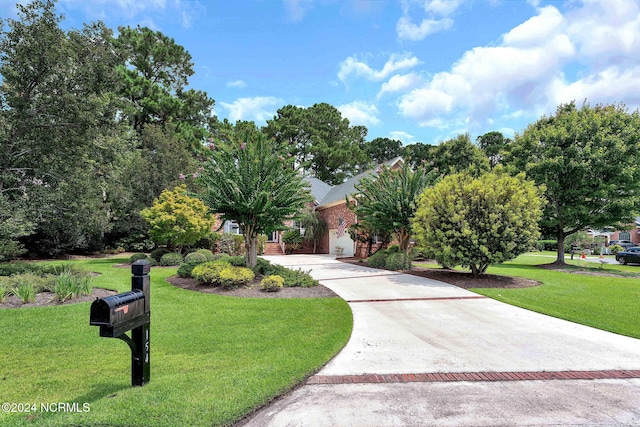 view of community with a lawn