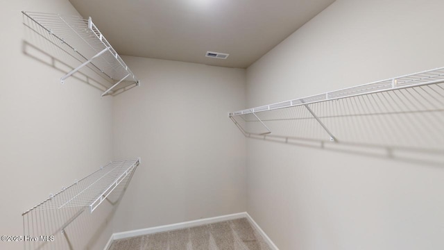 spacious closet with carpet flooring