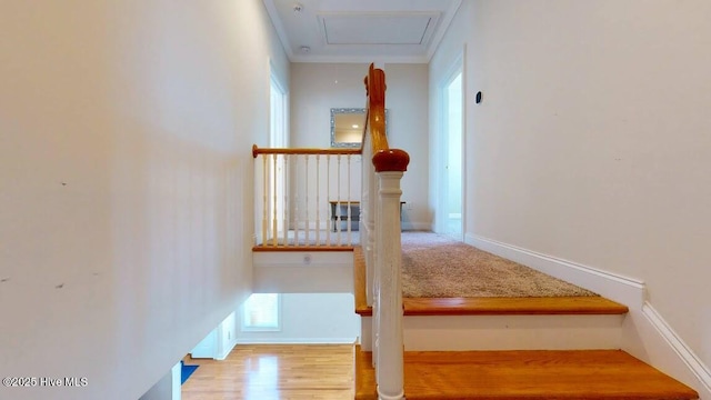 stairway featuring crown molding and hardwood / wood-style floors