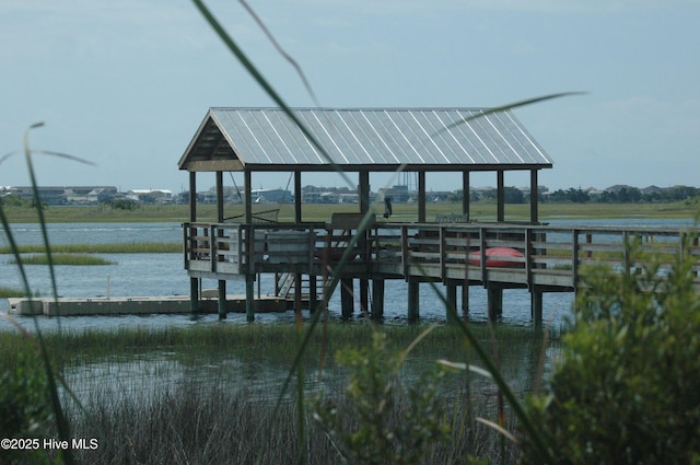 dock area with a water view