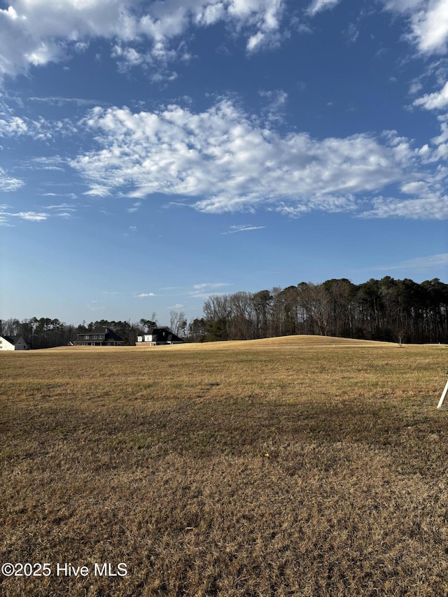 view of yard featuring a rural view