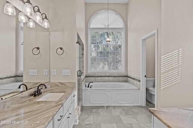 bathroom with vanity, a bathtub, and toilet