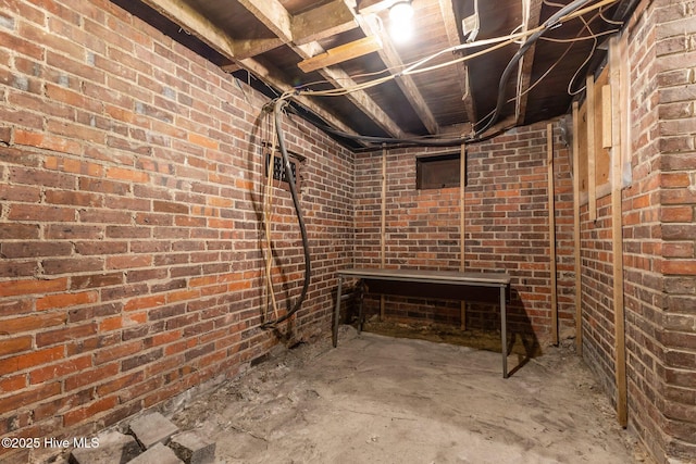 basement with brick wall