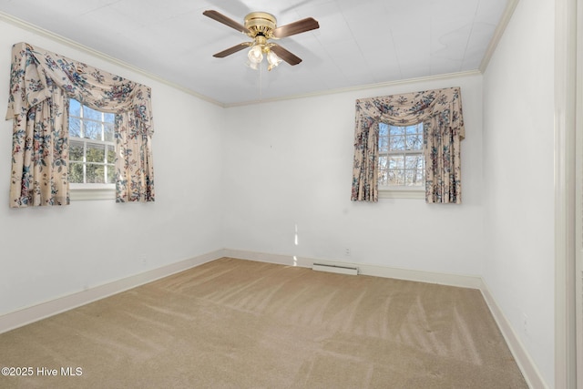 spare room featuring ceiling fan, carpet, and ornamental molding