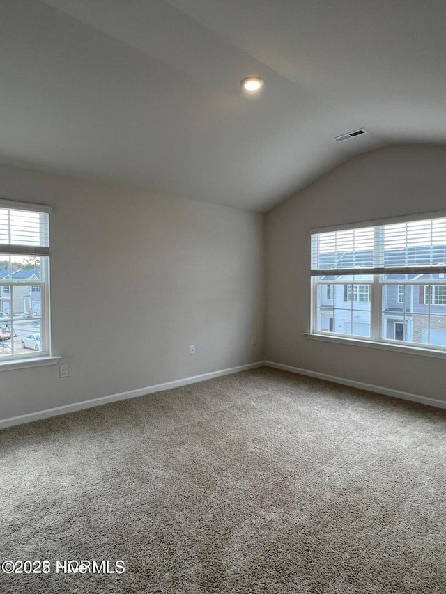 empty room featuring vaulted ceiling, carpet, and a healthy amount of sunlight