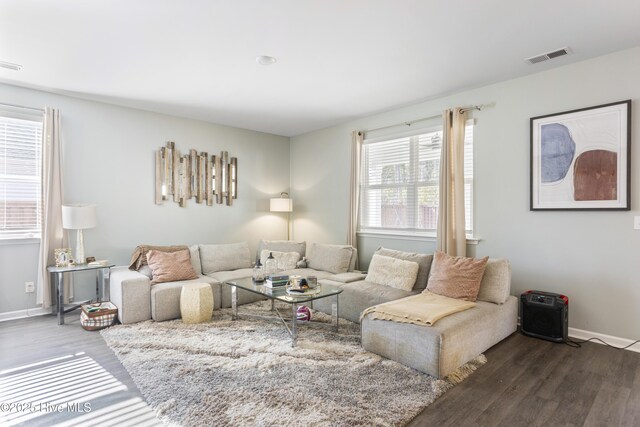 living room featuring hardwood / wood-style floors