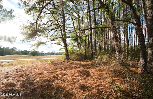 Listing photo 2 for 344 Autumn Pheasant Loop NW Unit 8, Calabash NC 28467