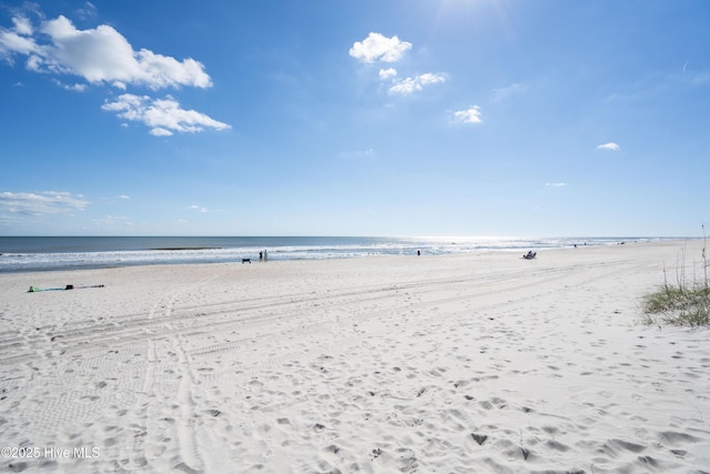 water view featuring a beach view