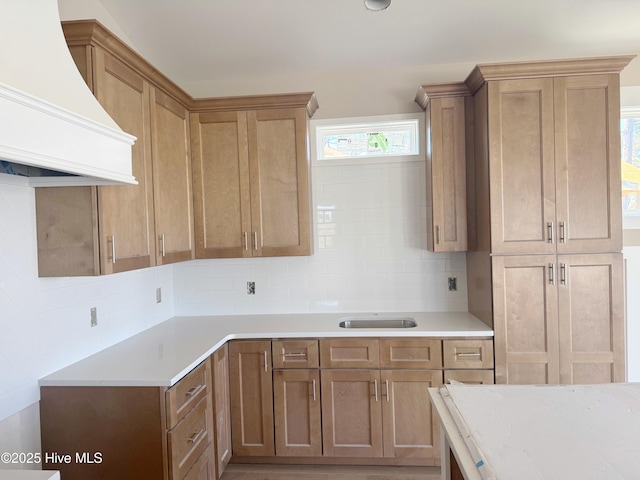 kitchen with light countertops, premium range hood, and decorative backsplash