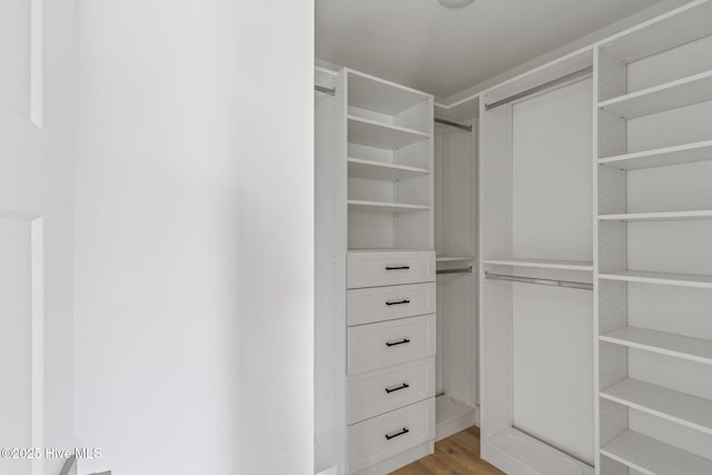 walk in closet with light wood-style flooring