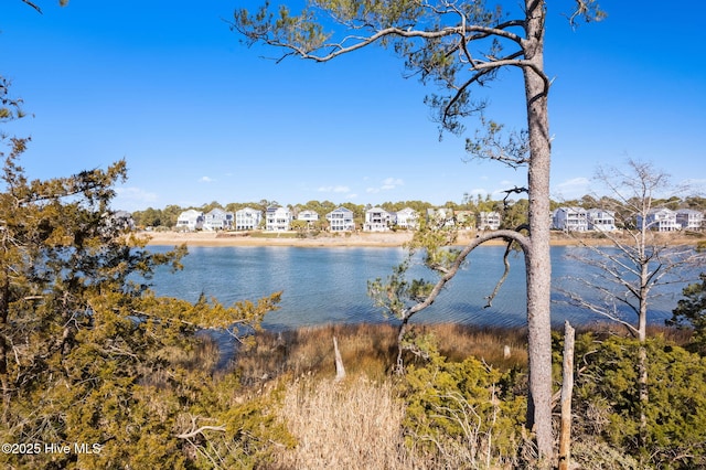 property view of water with a residential view