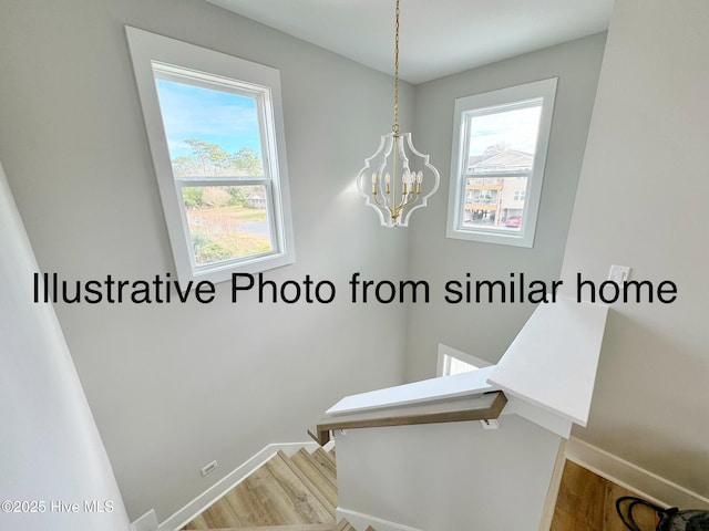 stairway featuring baseboards, a wealth of natural light, and wood finished floors