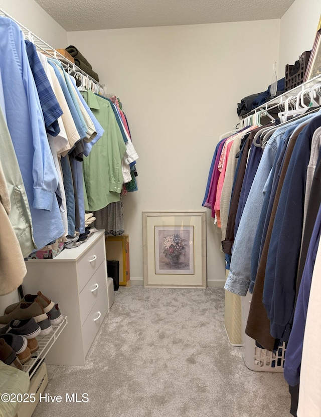 spacious closet with light colored carpet