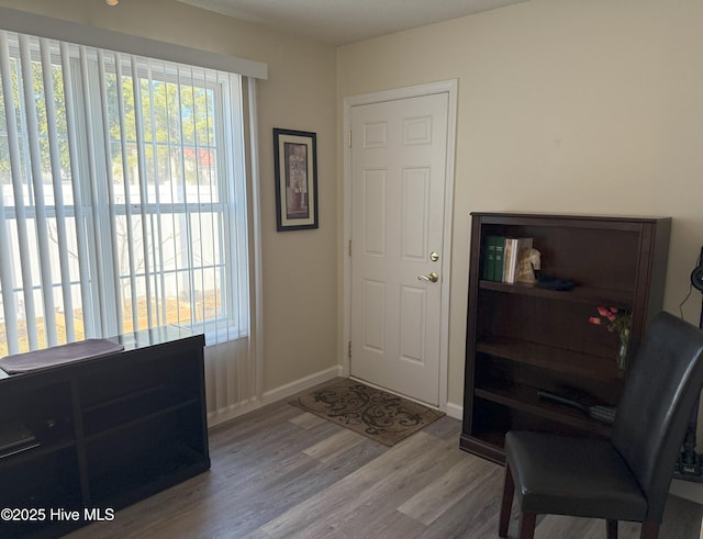 foyer entrance featuring light hardwood / wood-style flooring