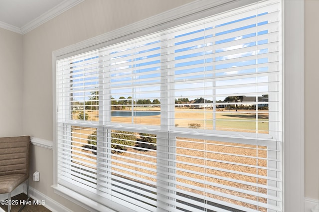 room details with crown molding and a water view