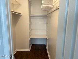 spacious closet featuring dark wood-type flooring