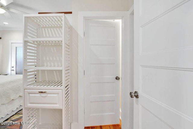 walk in closet featuring ceiling fan