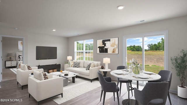 living room featuring wood-type flooring