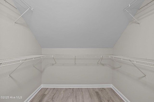 walk in closet with hardwood / wood-style flooring