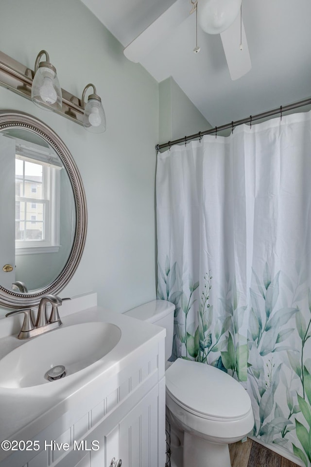 bathroom featuring vanity, hardwood / wood-style floors, a shower with curtain, and toilet