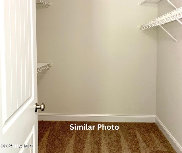 spacious closet featuring dark colored carpet