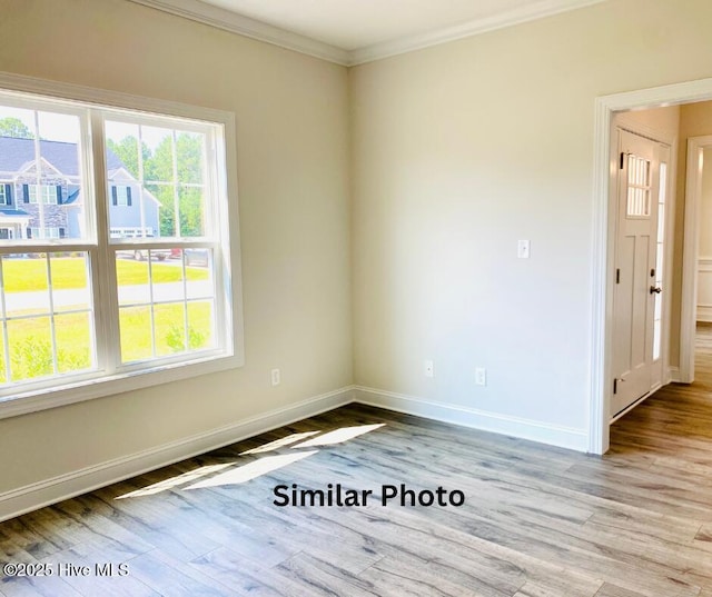 spare room featuring ornamental molding and light hardwood / wood-style floors