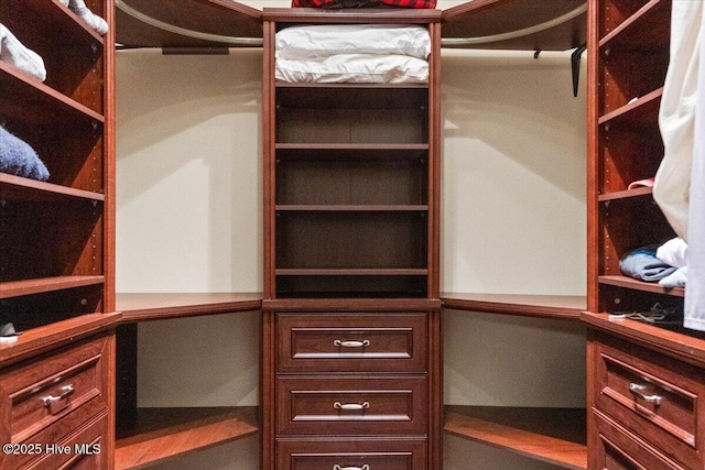 view of spacious closet