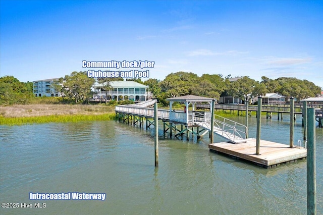 dock area with a water view