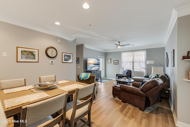 dining area featuring ceiling fan, light wood-type flooring, and ornamental molding