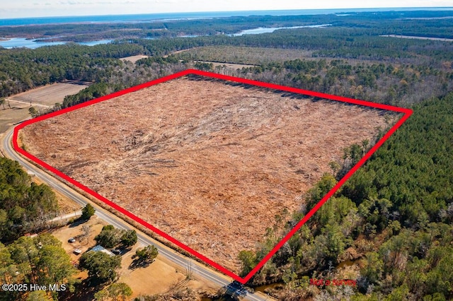 40ACRES Florence Rd, Merritt NC, 28556 land for sale