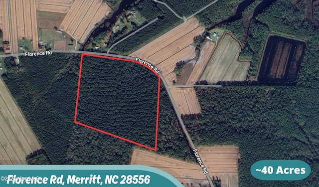 Listing photo 3 for 40ACRES Florence Rd, Merritt NC 28556