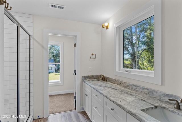 bathroom with vanity, wood-type flooring, a shower with door, and a healthy amount of sunlight