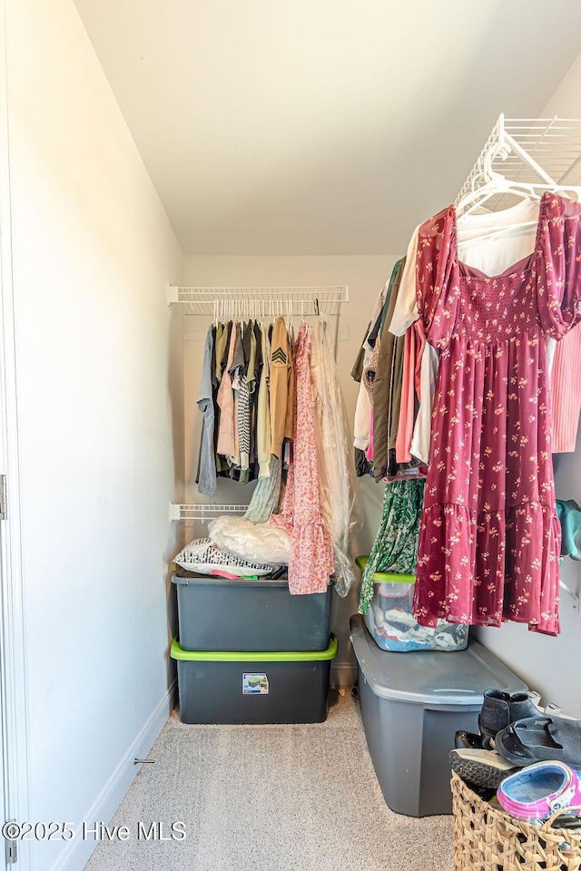 spacious closet featuring carpet floors