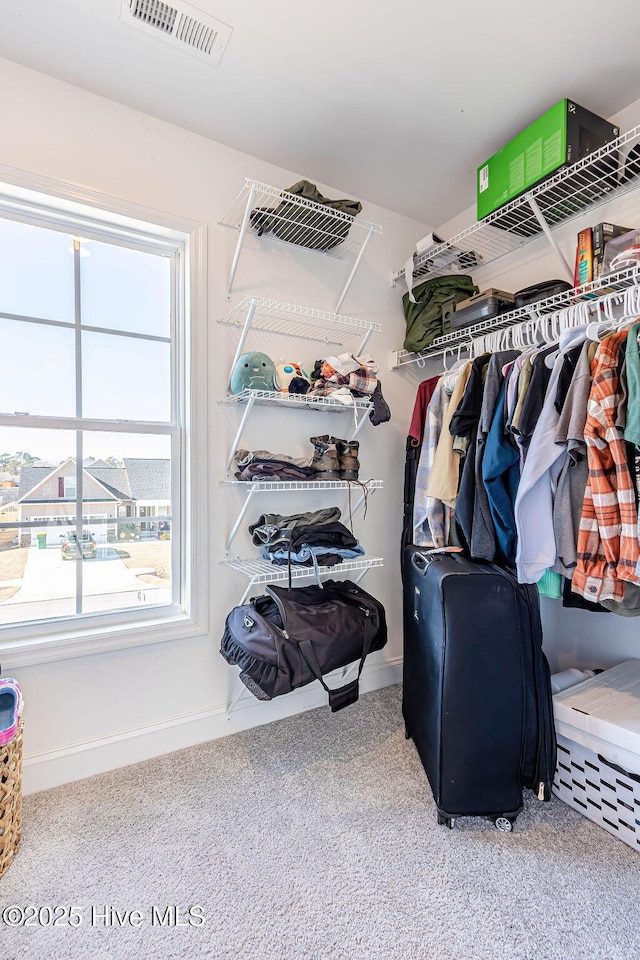 spacious closet with carpet floors