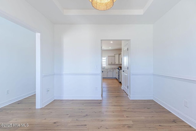 spare room featuring a raised ceiling and light hardwood / wood-style flooring