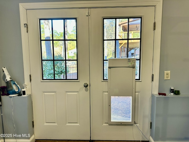 doorway featuring plenty of natural light