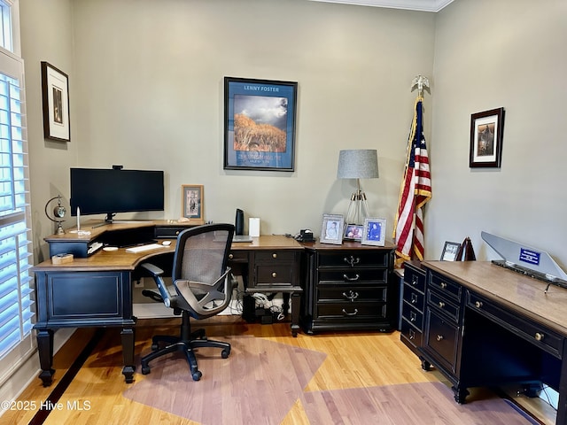 office space with light hardwood / wood-style flooring