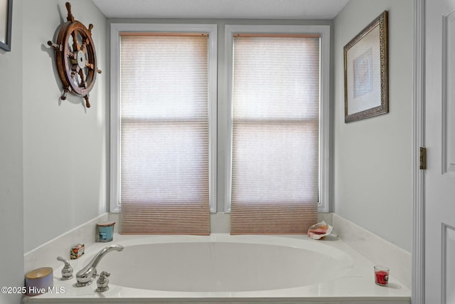 bathroom featuring a tub and a healthy amount of sunlight