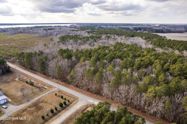 Listing photo 3 for TBD Boat Ramp Rd, Hertford NC 27944