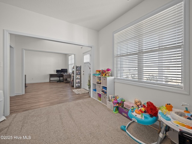 playroom with carpet flooring